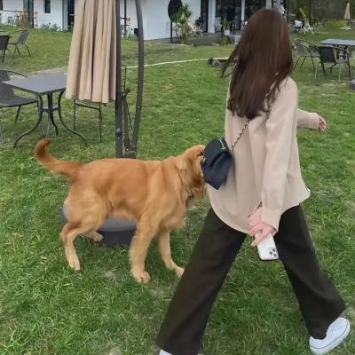 超脑少年团第二季